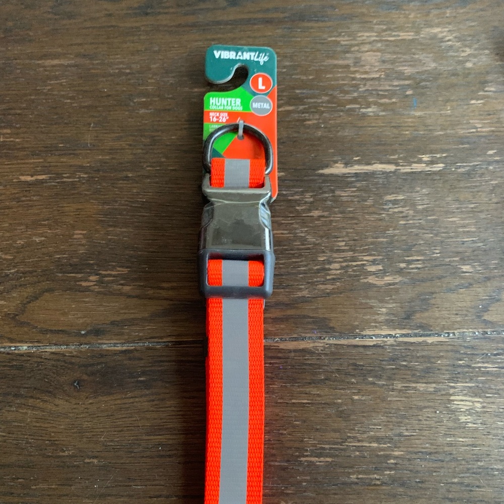 Hunter Reflective Orange Dog Collar